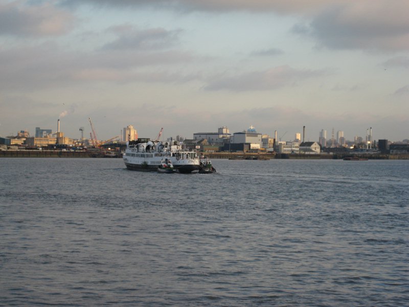 IMG_1487.jpg